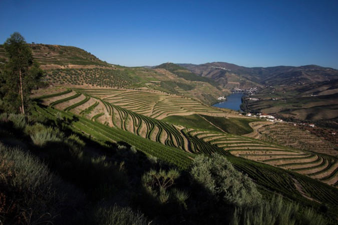 Im Zentrum des Douro-Tales, wo sich an den steilen Hängen beidseits des Flusses Tausende, von Menschenhand gebaute Weinbergterrassen winden.
