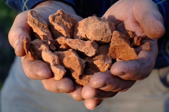 Eines der Geheimnisse für guten Wein liegt in mineralhaltigem Gestein und lebendigen Böden.