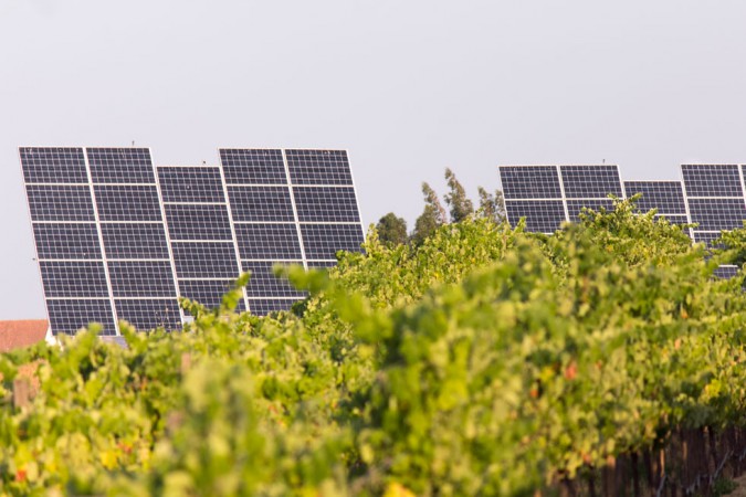 Solaranlage auf dem Weingut