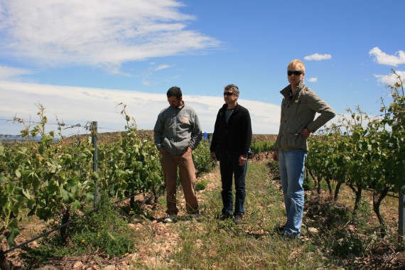 Santiago Ramirez (links) mit Winzerberater Daniel Wyss und Roman Herzog im Weinberg