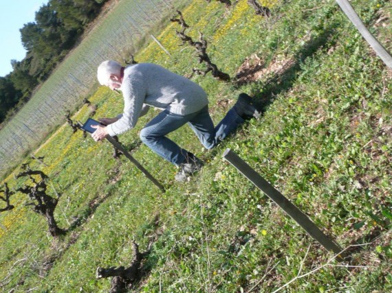 Winzerberater Rolf Kaufmann macht Bilder fürs Protokoll im Weingut Lignères