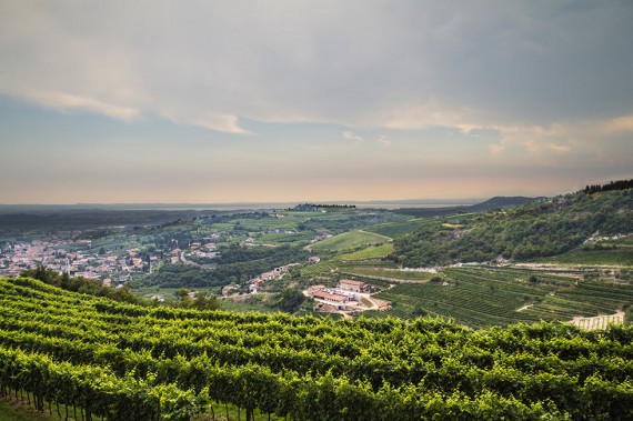 Herrliche Aussicht auf das «Tal der vielen Keller».