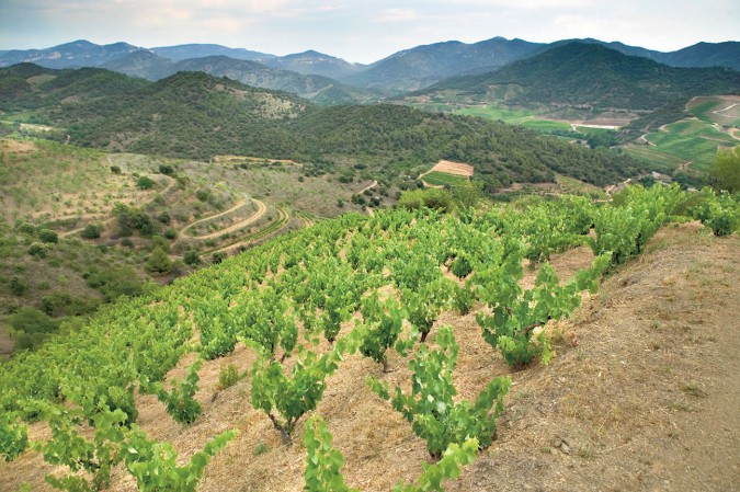 rioja-a15d9-4