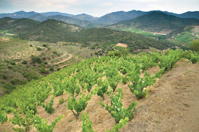 rioja-a15d9-4