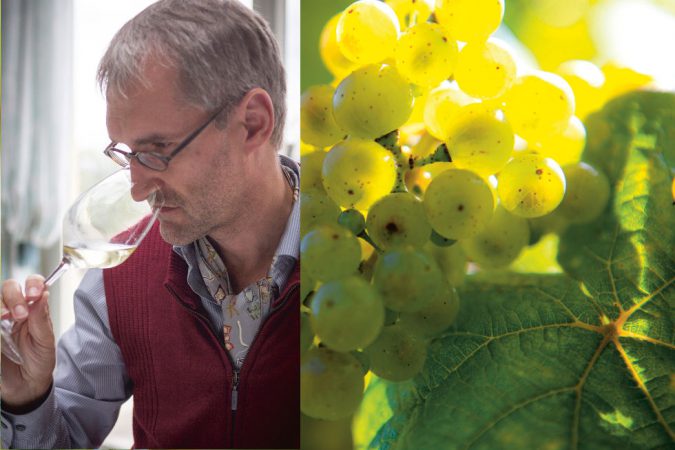 «Unsere Rieslinge sind Charakterköpfe»
