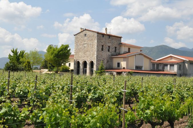 Eine Lanze für griechischen Wein