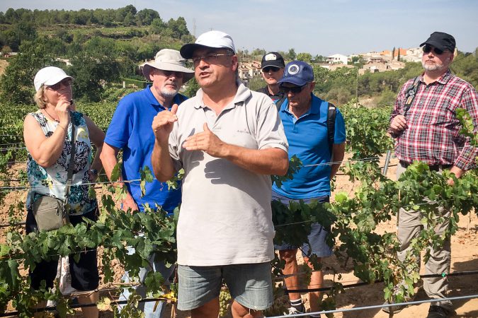 Gäste von Delinat geniessen eine persönliche Weinbergs-Führung durch Josep Albet i Noya.