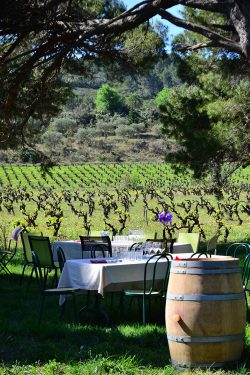 Picknick beim Weingut der Familie Lignères.