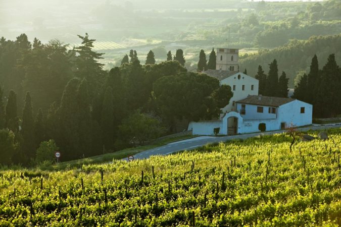 Weingut Albet i Noya