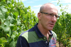 François Meyer, Domaine Eugène Meyer, Bergholtz