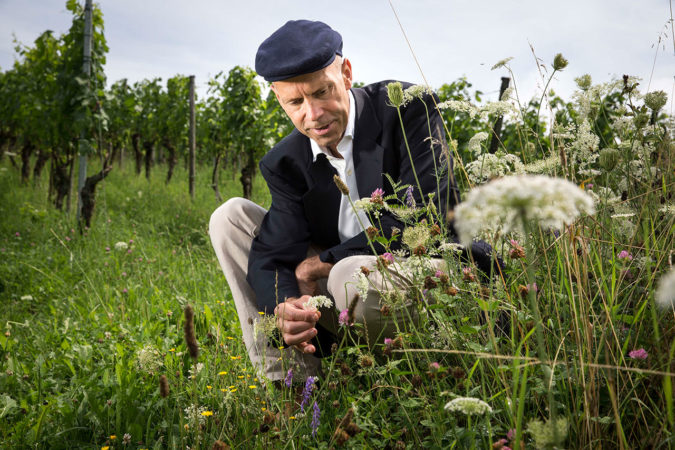 Karl Schefer im Weinberg eines Delinat-Winzers