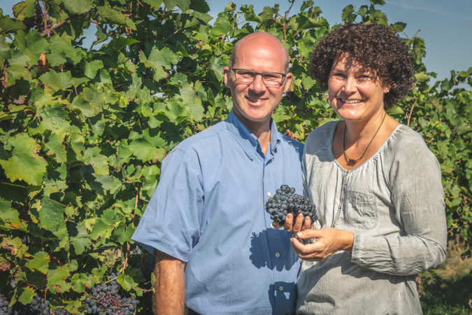 Ein gutes Weinjahr für Tobias und Ellen Zimmer auf dem Weingut Hirschhof