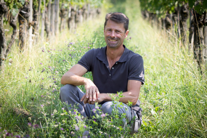 Bio-Winzer Roland Lenz spricht von einem erfreulichen Weinjahr