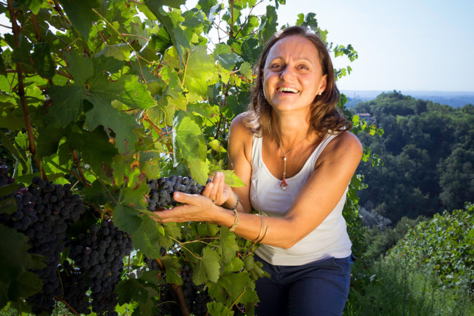 Auf der Azienda Poggio Ridente startet bald die Ernte der roten Trauben