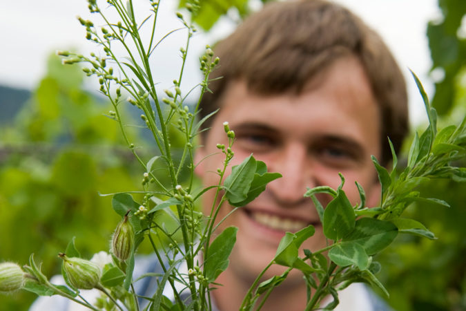 Andreas Harm, Biodiversitätswinzer 2021