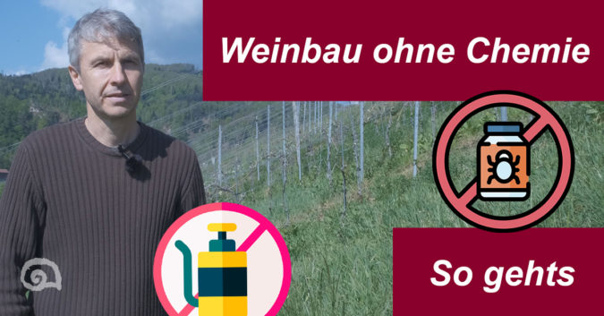 Bio-Land Schweiz ist keine Utopie – Interview mit Winzerberater Daniel Wyss