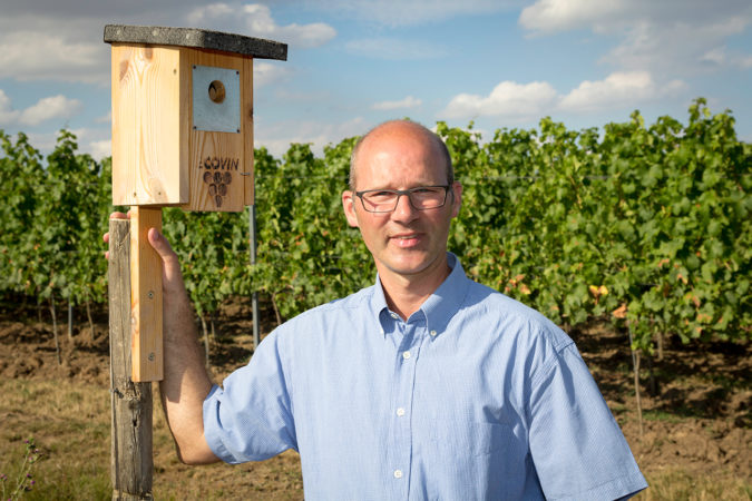 Tobias Zimmer, Westhofen, Rheinhessen