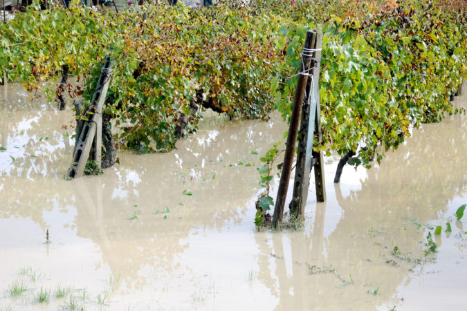 Überschwemmungen im Weinberg (Deutschland)