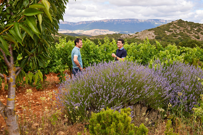 Jorge und Raúl Ripa, Winzer auf Quaderna Via