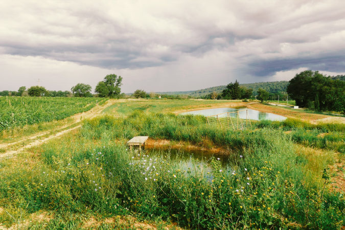 Permakultur: Wasserretentionsbecken auf Château Duvivier