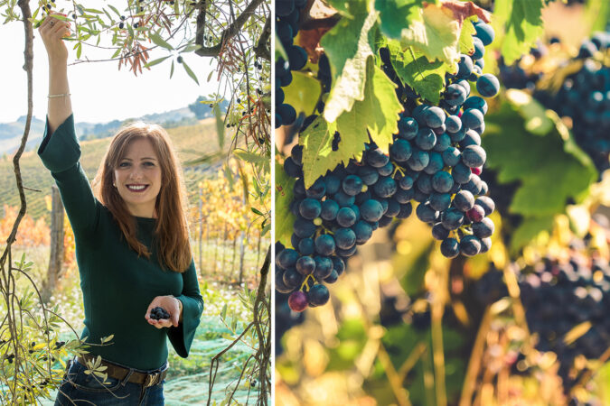 Winzerin Katia Stracci keltert aus Montepulciano- und Sangiovese- Trauben eine Rotwein- Cuvée die perfekt mit den gefüllten Oliven aus den Marken harmoniert.
