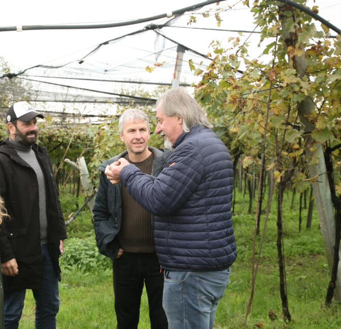 Delinat-Winzer Natalino Fasoli (re.) im Gespräch über PIWI-Sorten mit Winzerberater Dani Wyss (mi.) und Weingut-Manager Paolo Zivelonghi (li.)