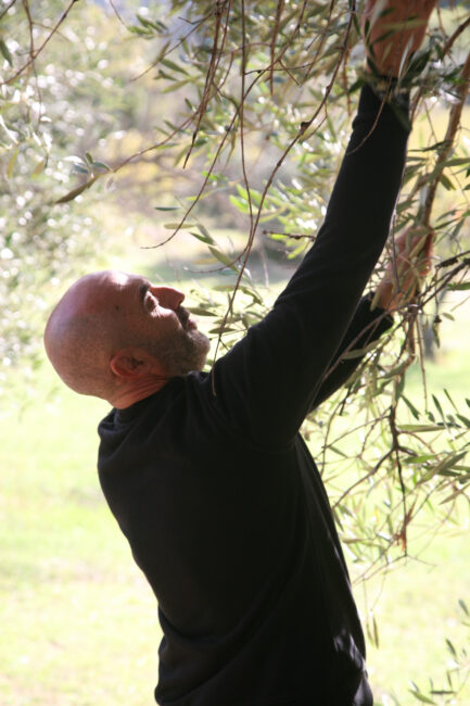 Delinat-Winzer Marco Salustri und seine tausendjährigen Olivenbäume pflegen eine direkte Freundschaft.