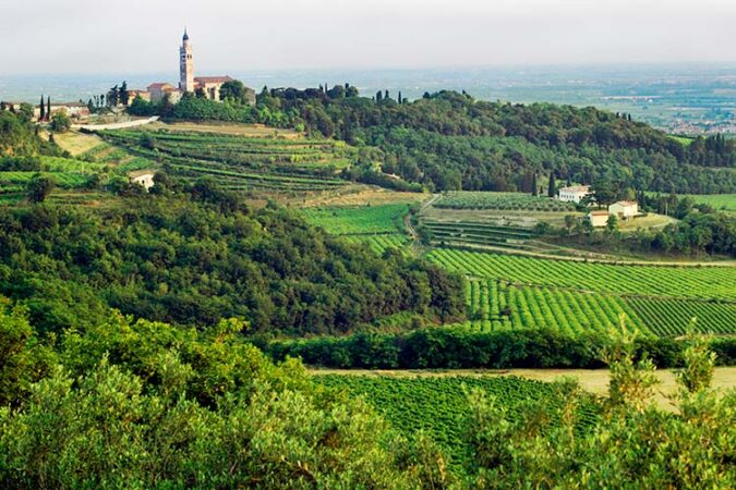 PIWIs im Veneto und eine Umarmung für Delinat