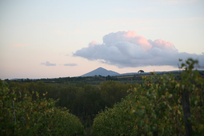 Artenvielfalt und Ästhetik der Landschaft sind eng miteinander verbunden. Hier ein Blick aus den Weingärten von Il Conventino in Montepulciano.