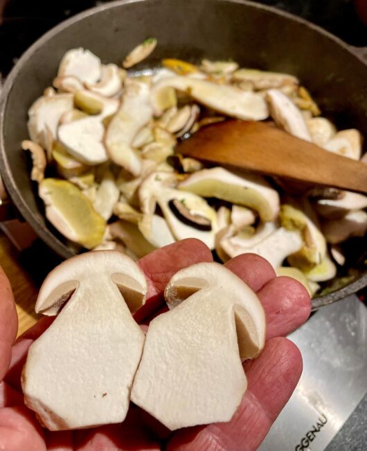 Pilze "trifolati" sind eine wunderbare Ergänzung zu allerhand Herbstgerichten und für sich alleine eine Köstlichkeit.