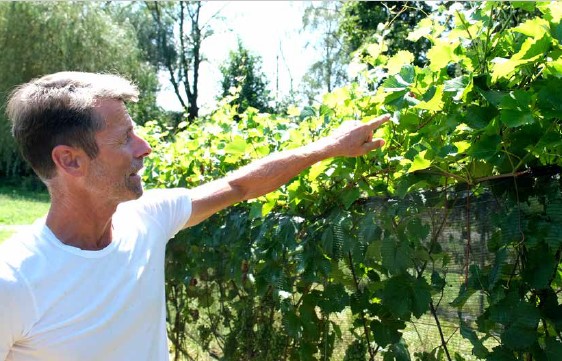 Roland Lenz in seinem Sortengarten am Hüttwilersee.