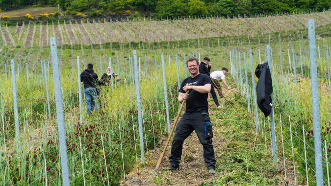 "Riesling rockt", das sagen Timo Dienhart und sein T-Shirt.
