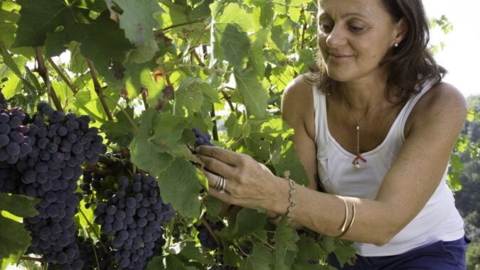 Für Cecilia Zucca wird ein Wein nur dann gut, wenn er im Einklang mit der Natur entsteht.