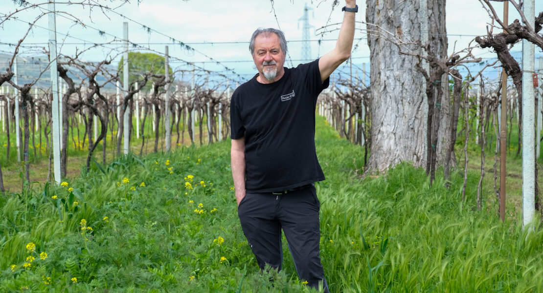 Für Winzer Natalino Fasoli gelingt guter Wein nur im Einklang mit der Natur.
