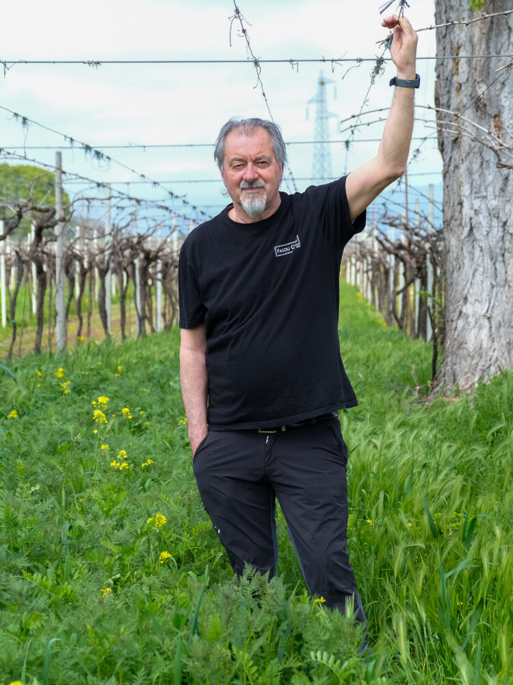 Für Winzer Natalino Fasoli gelingt guter Wein nur im Einklang mit der Natur.