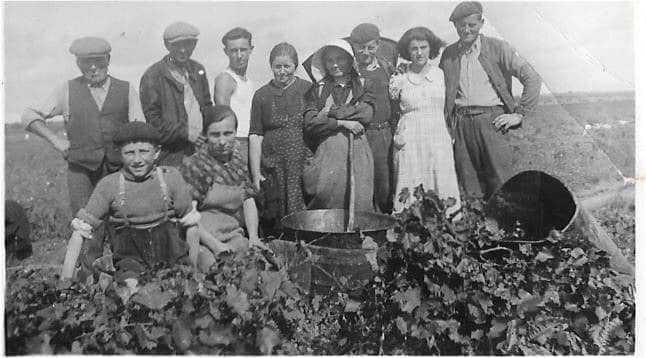 Familie Fabre keltert seit mehreren Jahrhunderten Wein.