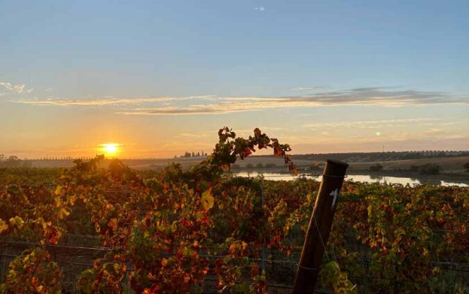 Permakultur in semiariden Zonen